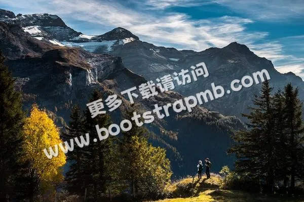 ⊞ Portfolio - B体育